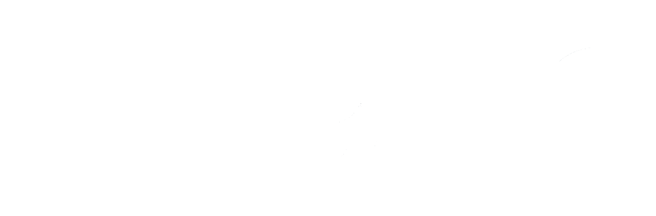 Fongogo